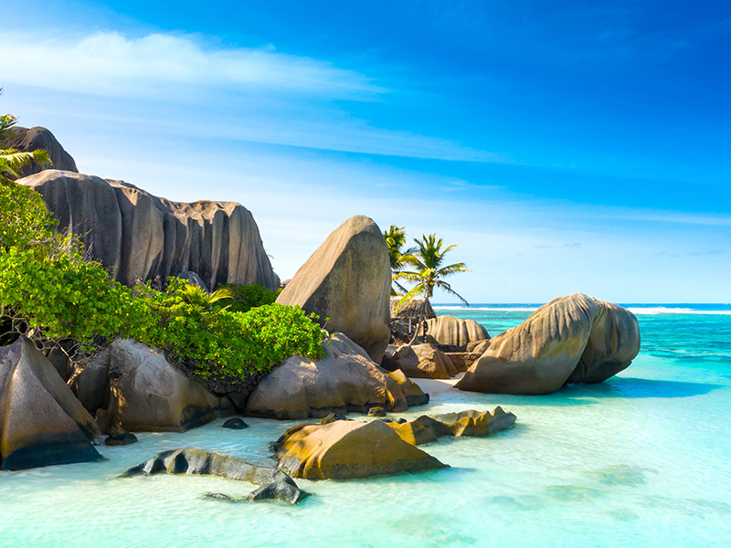Wonders of Mahe Island Seychelles