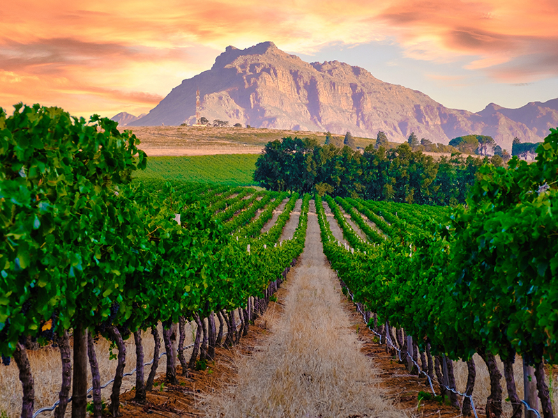 CAPE TOWN, SOUTH AFRICA CAPE TOWN, SOUTH AFRICA