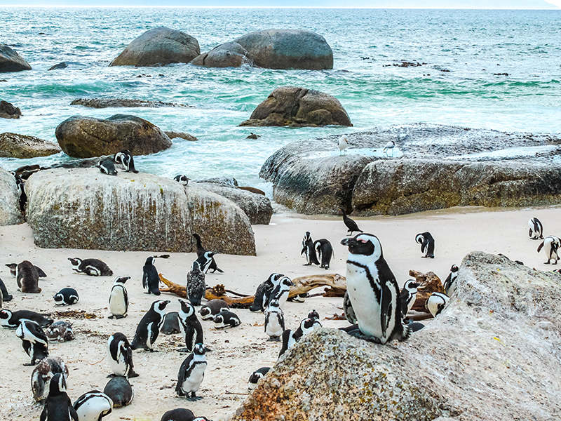 CAPE TOWN, SOUTH AFRICA